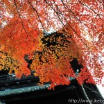 南禅寺山門の紅葉