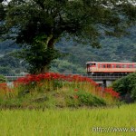 長与駅付近