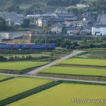 長与駅付近のお寺